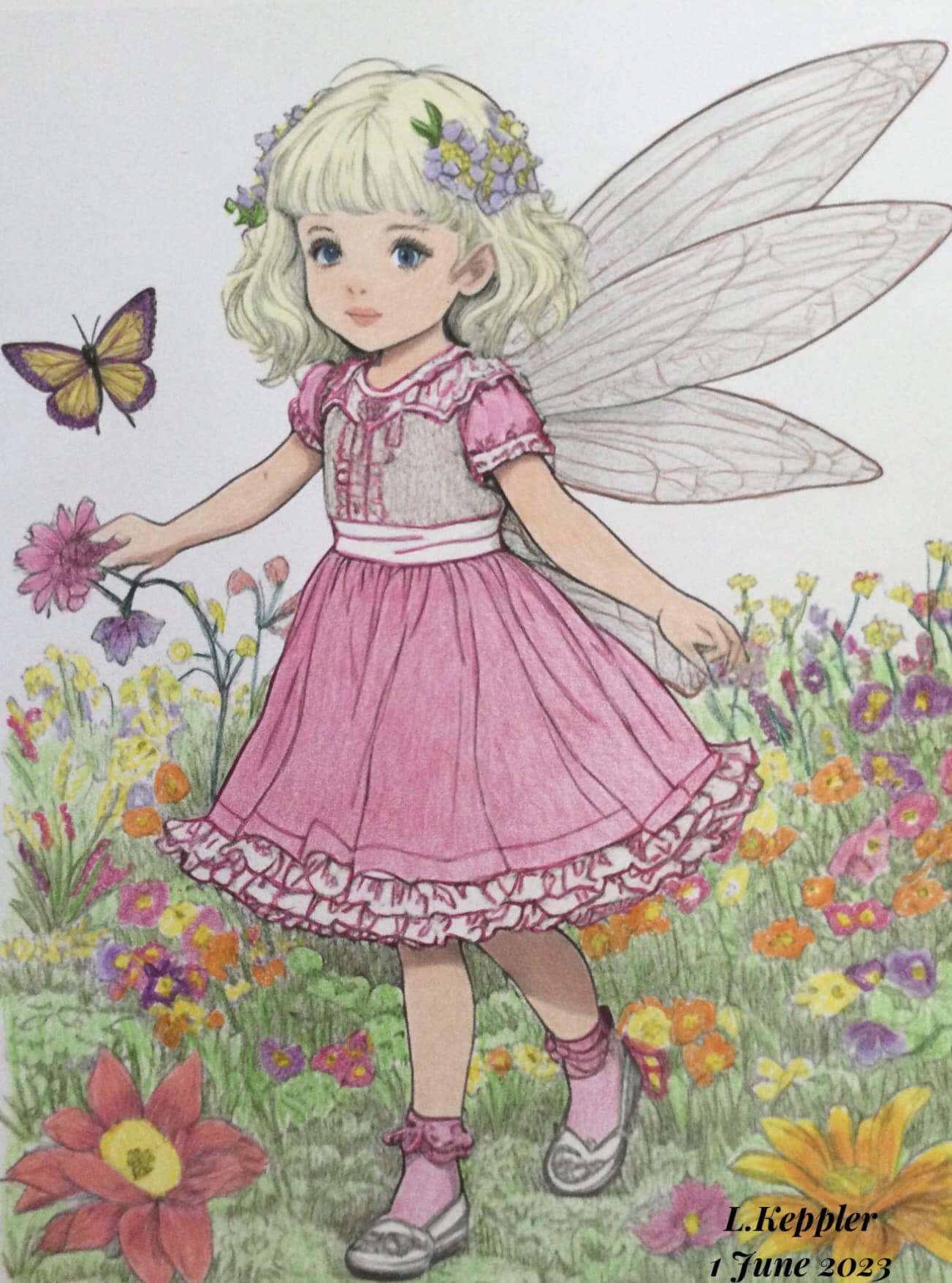 Fairies and Witches
